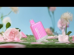 ड्राला 600/800 पफ्स डिस्पोजेबल वेप पेन फ्रूट फ्लेवर ई सिगरेट वेप